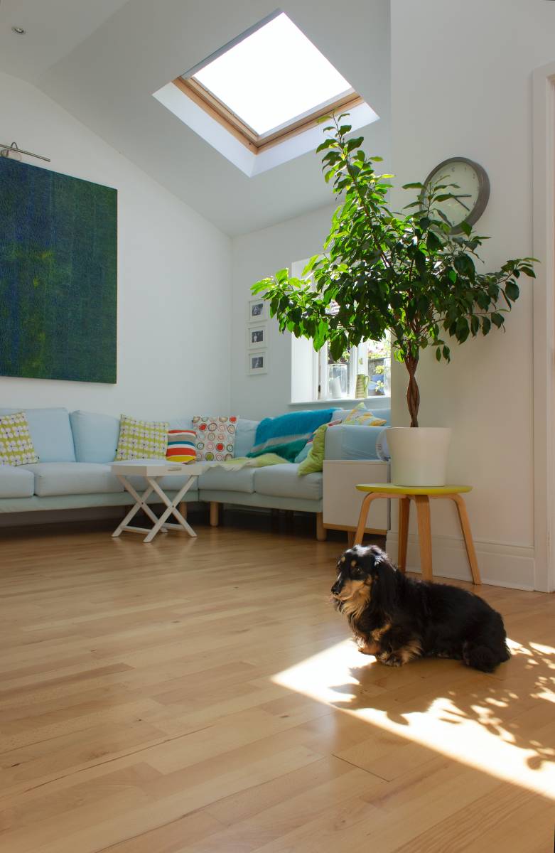 Installation et pose de velux sur toiture en ardoise à Martigues, Carry le rouet Vitrolles et Bouches du Rhône